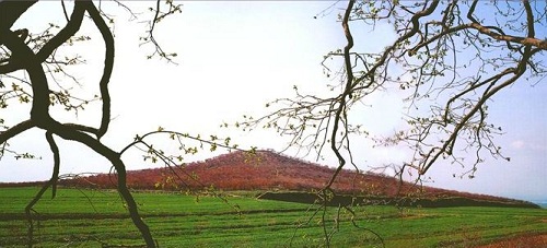 Qin Shi Huang Mausoleum