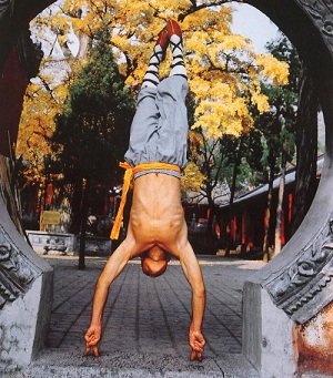 Shaolin  Wushu (Wu Shu)